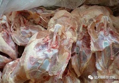 科學喂食 幾種安全處理雞架喂犬的家庭做法