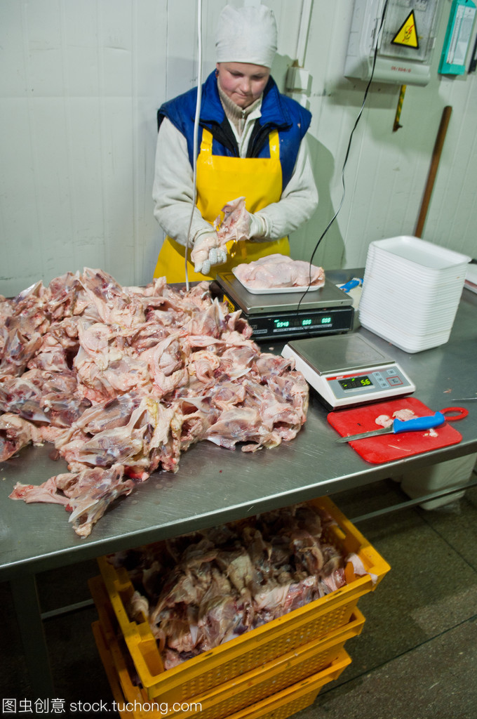 食品工業(yè)中的家禽加工與屠宰 標(biāo)準(zhǔn)化流程與安全控制