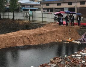 嚴把舌尖安全關 守護碧水清波——區人大常委會調研大龍街農產品質量安全與黑臭水體治理紀實