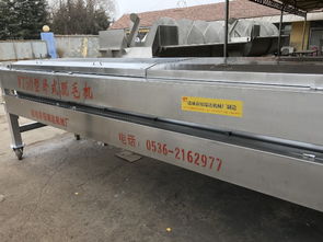 家禽屠宰自動化新篇章 全自動脫毛機與流水線設備解析