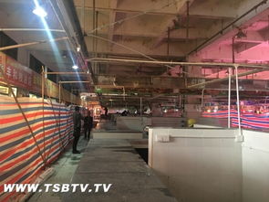 江門臺山市中心城區家禽“集中屠宰、冷鏈配送、生鮮上市”工作進展順利