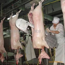 現代化家禽屠宰設備 提升效率與食品安全的關鍵