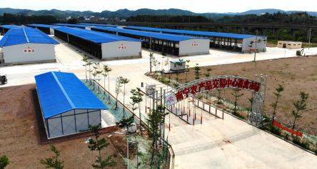 再見，五里亭批發市場 南寧人的家禽記憶與煙火氣